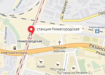 Вызов ветеринара на дом в районе метро Нижегородская