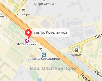 Вызов ветеринара на дом в районе метро Котельники
